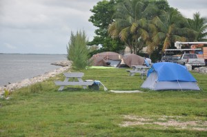 Heavy duty tarps on our neighbors' tents.  